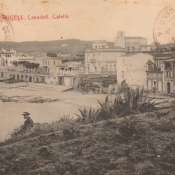 Sin_título-15_Medium