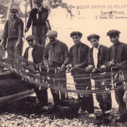 Sin_título-18_Medium