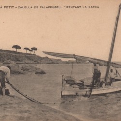 Sin_título-25_Medium