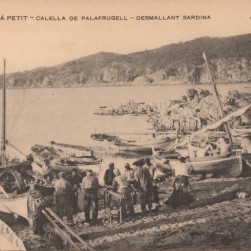 Sin_título-3_Medium