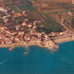 Sin_título-8_Medium