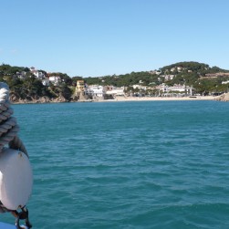 GAROINADA-19-03-2011-017