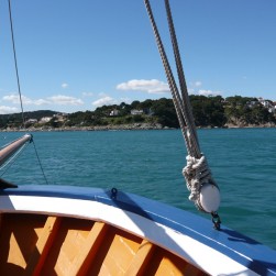 GAROINADA-19-03-2011-019