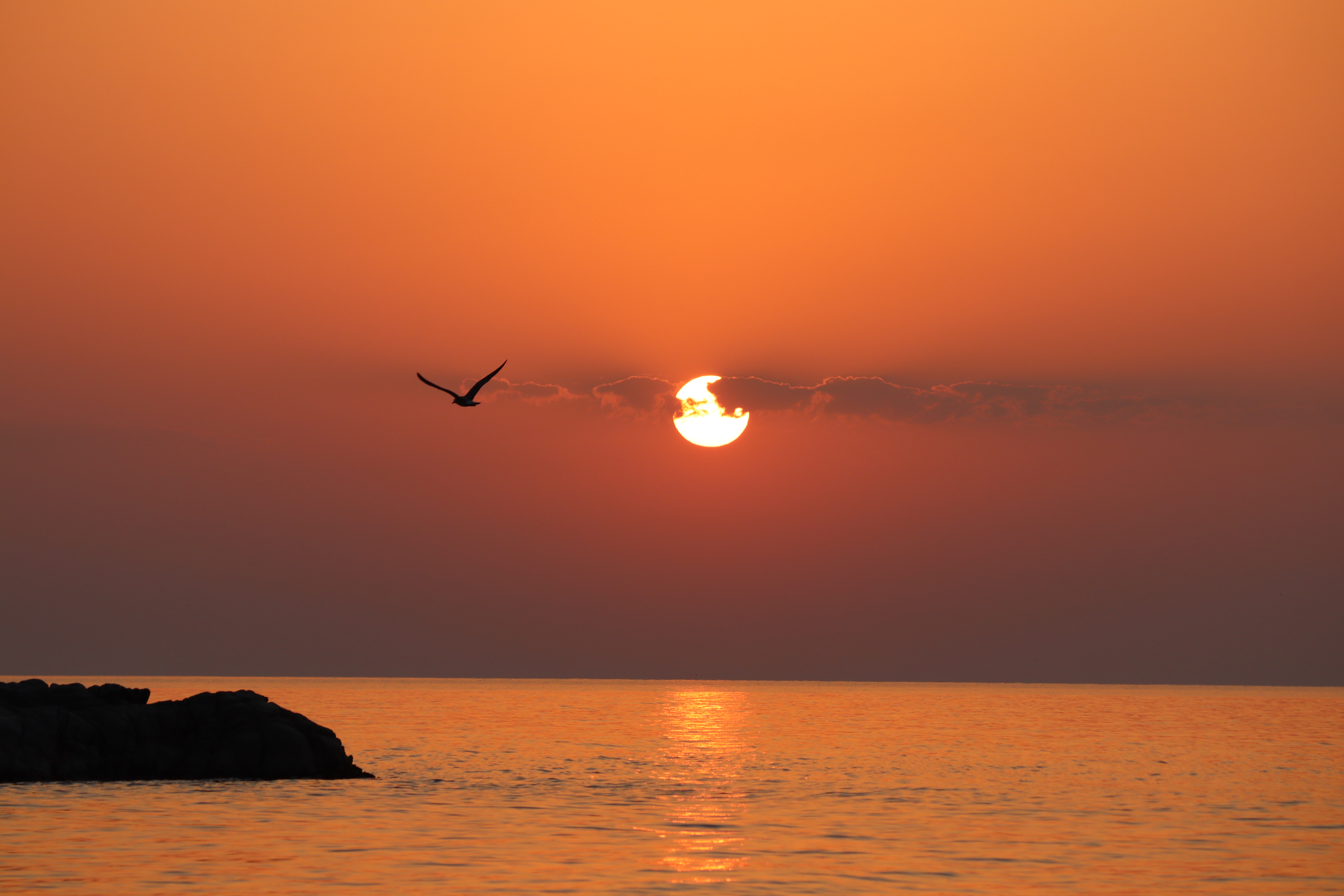 IMG 5442   Eloi Alcaide Armengol