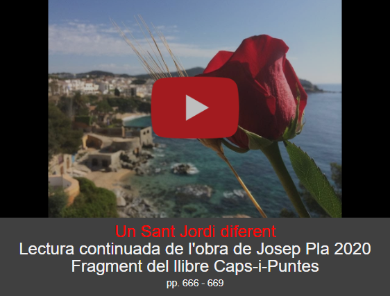 Vídeo Sant Jordi