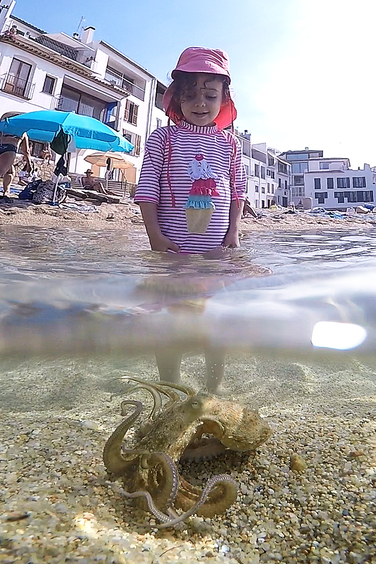 002 La Yuma i el pop